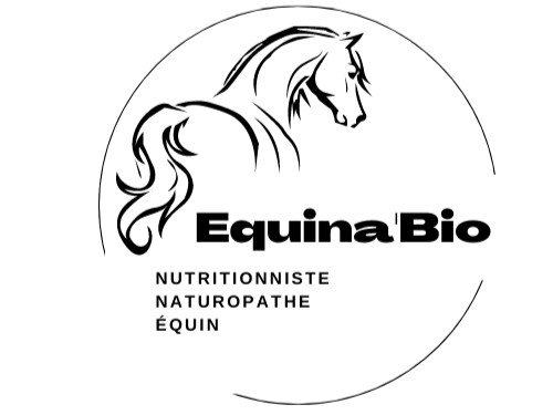 logo04